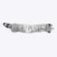 HUFT Slinky Raccoon Squeaky Plush Toy For Dog - Grey - Heads Up For Tails
