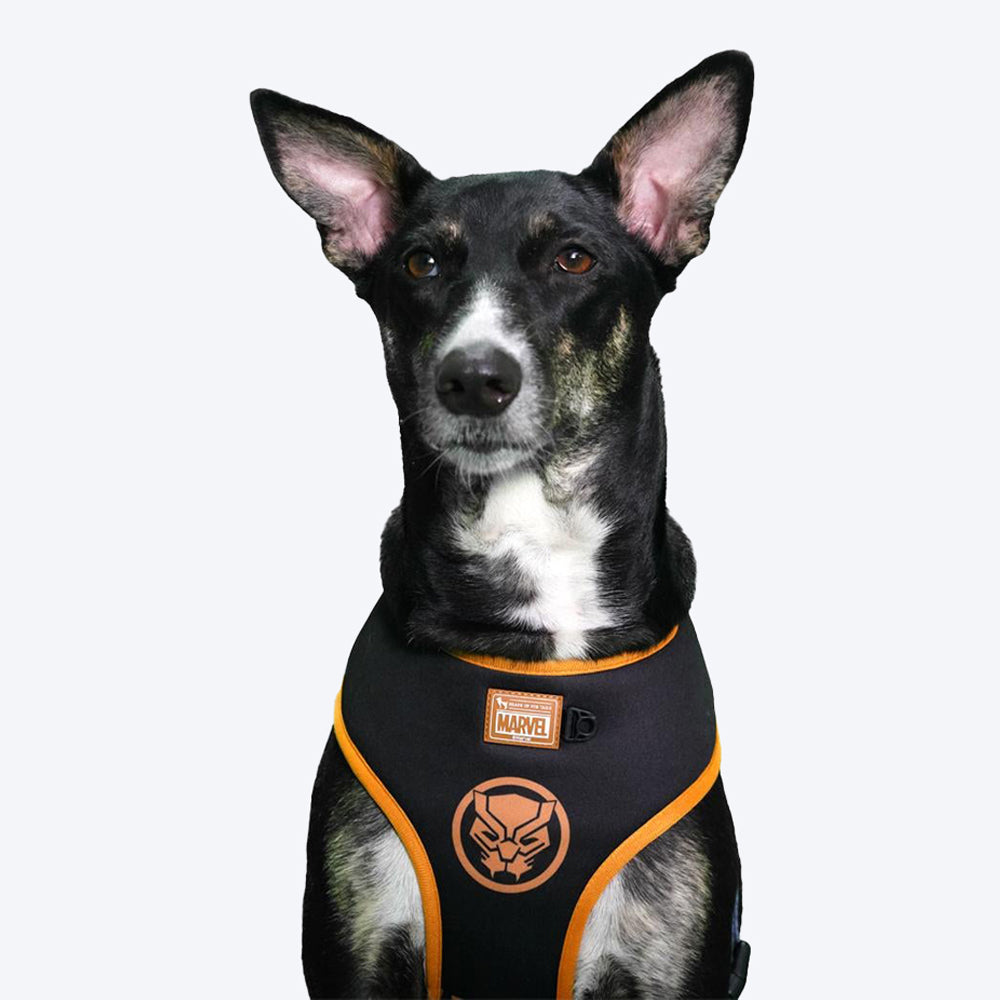 HUFT XÂ©Marvel Black Panther Reversible Dog Harness - Heads Up For Tails