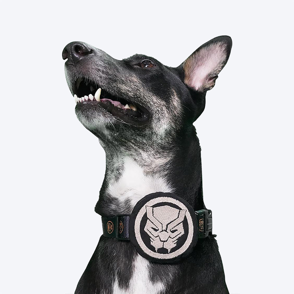 HUFT XÂ©Marvel Black Panther Collar Insert For Dogs - Black - Heads Up For Tails