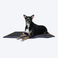 HUFT XÂ©Marvel Black Panther Dog & Cat Mat-4