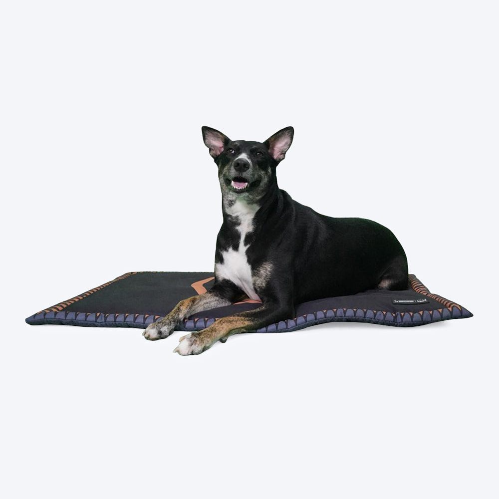 HUFT XÂ©Marvel Black Panther Dog & Cat Mat-4
