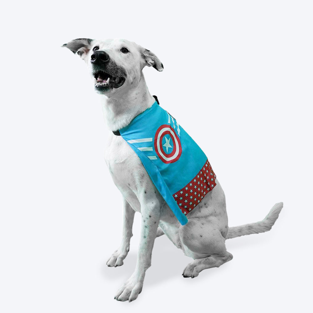 HUFT XÂ©Marvel Captain America Cape - Heads Up For Tails