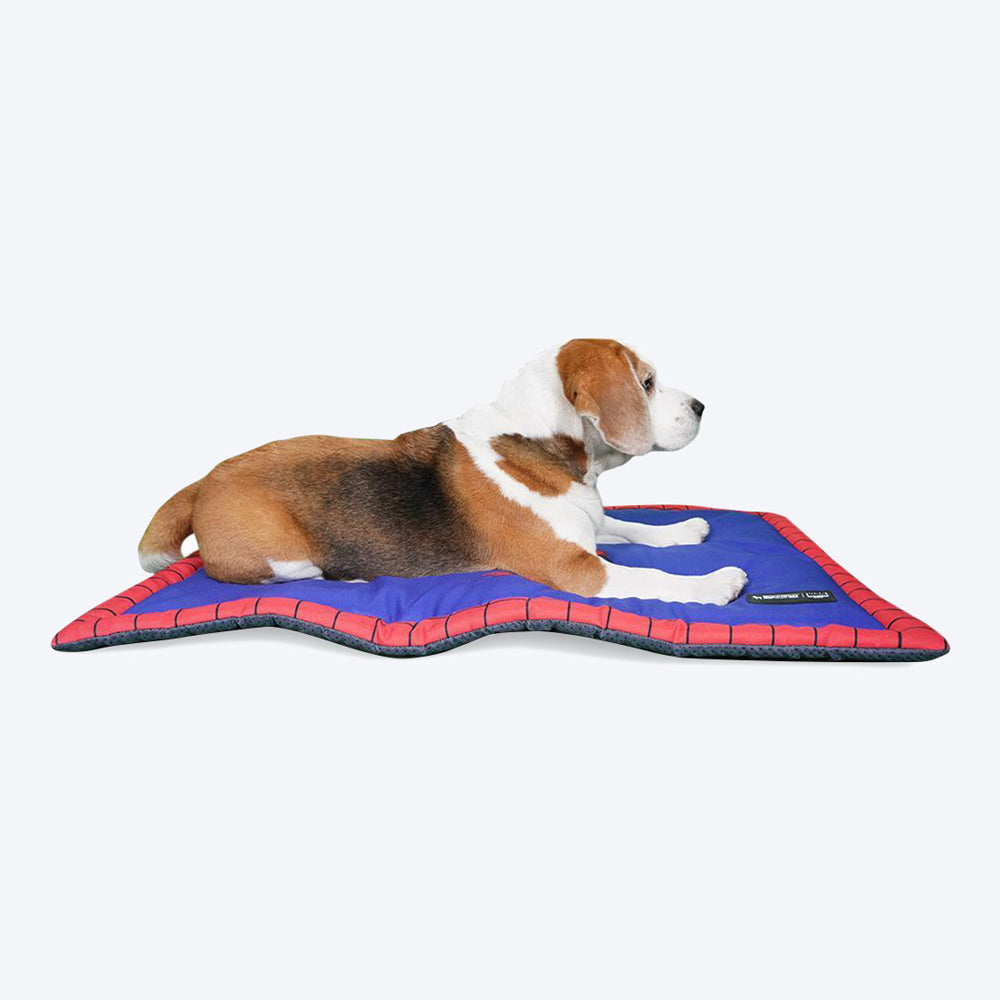 HUFT XÂ©Marvel Spider-Man Dog & Cat Mat-5