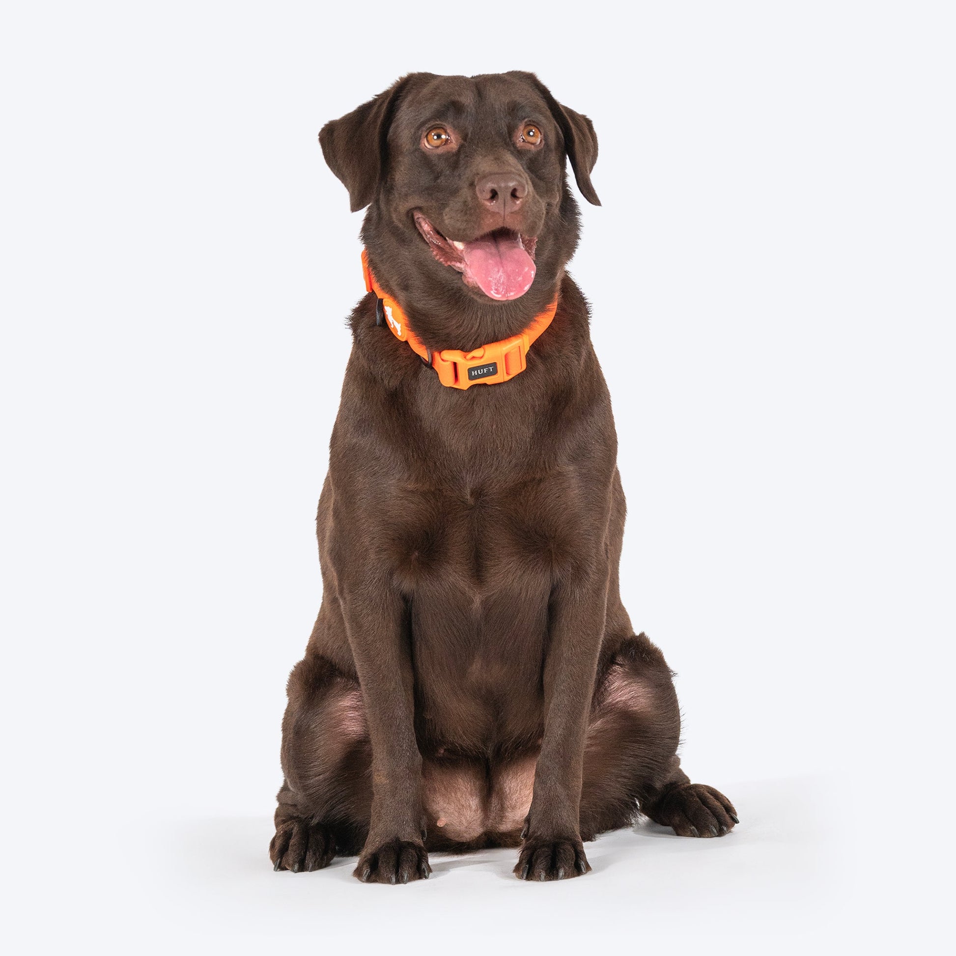 HUFT Hive Harmony Waterproof Collar and Leash Set For Dog - Orange - Heads Up For Tails
