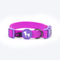 HUFT Hive Harmony Waterproof Collar and Leash Set For Dog - Purple - Heads Up For Tails
