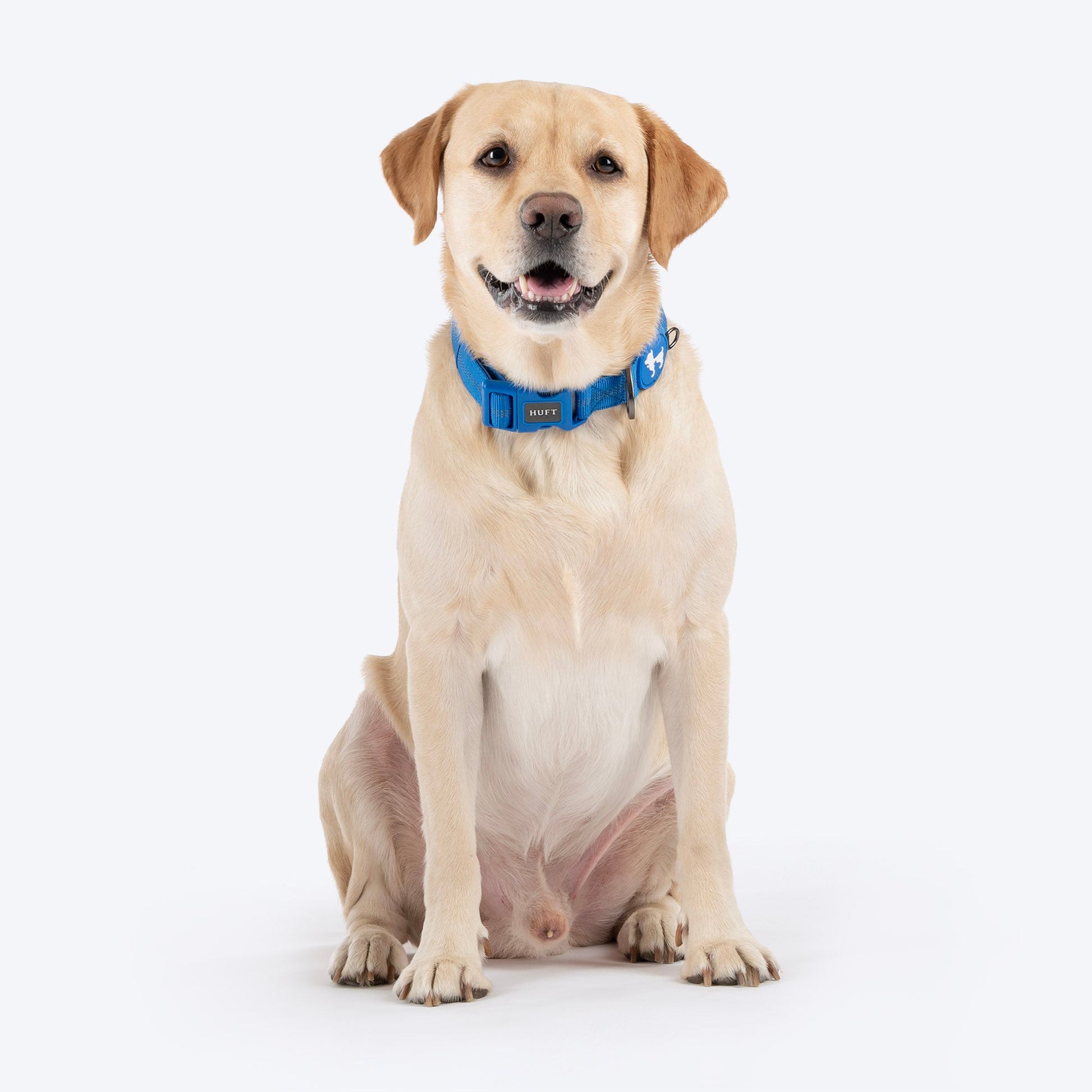 HUFT Xplorers Collar For Dog - Blue_03