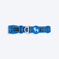 HUFT Xplorers Collar For Dog - Blue_09