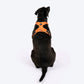 HUFT Xplorers Harness For Dog- Orange_02
