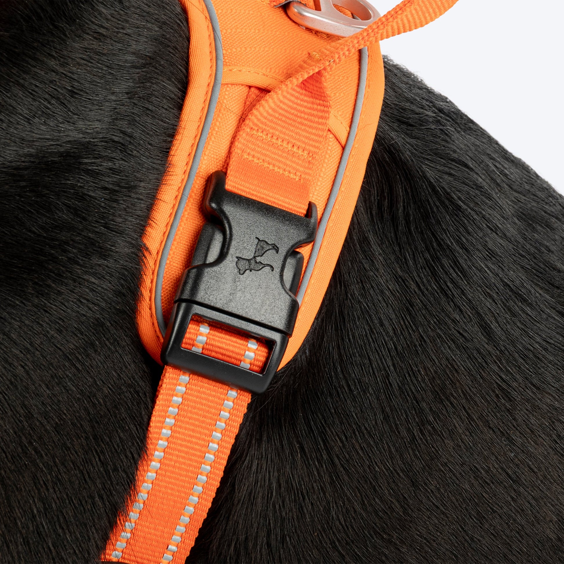 HUFT Xplorers Harness For Dog- Orange_05