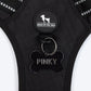HUFT Xplorers Harness For Dog - Black_12