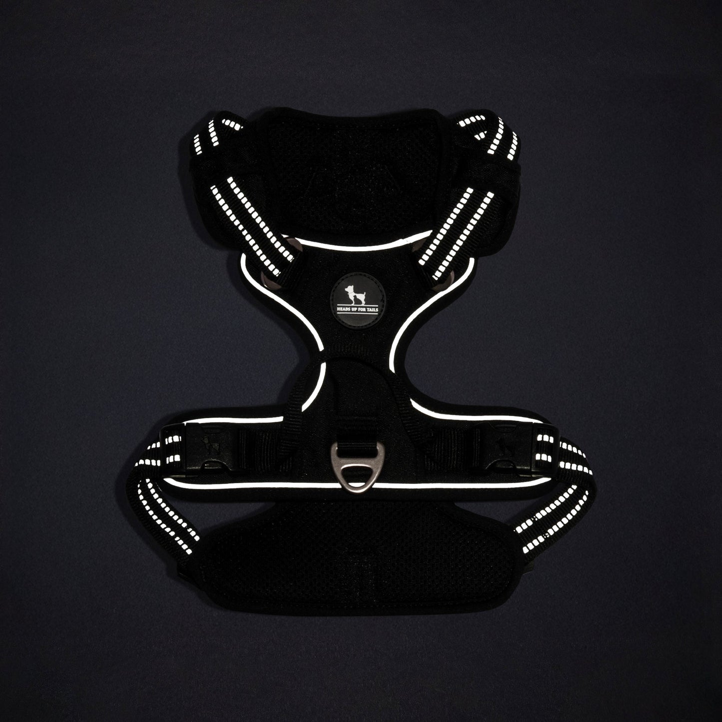 HUFT Xplorers Harness For Dog - Black_15