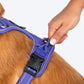 HUFT Xplorers Harness For Dog - Purple - Heads Up For Tails