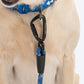 HUFT Xplorers Rope Leash With Carabiner For Dog - Blue - 5 ft_04