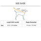 HUFT Xplorers Rope Leash With Carabiner For Dog - Blue - 5 ft_12
