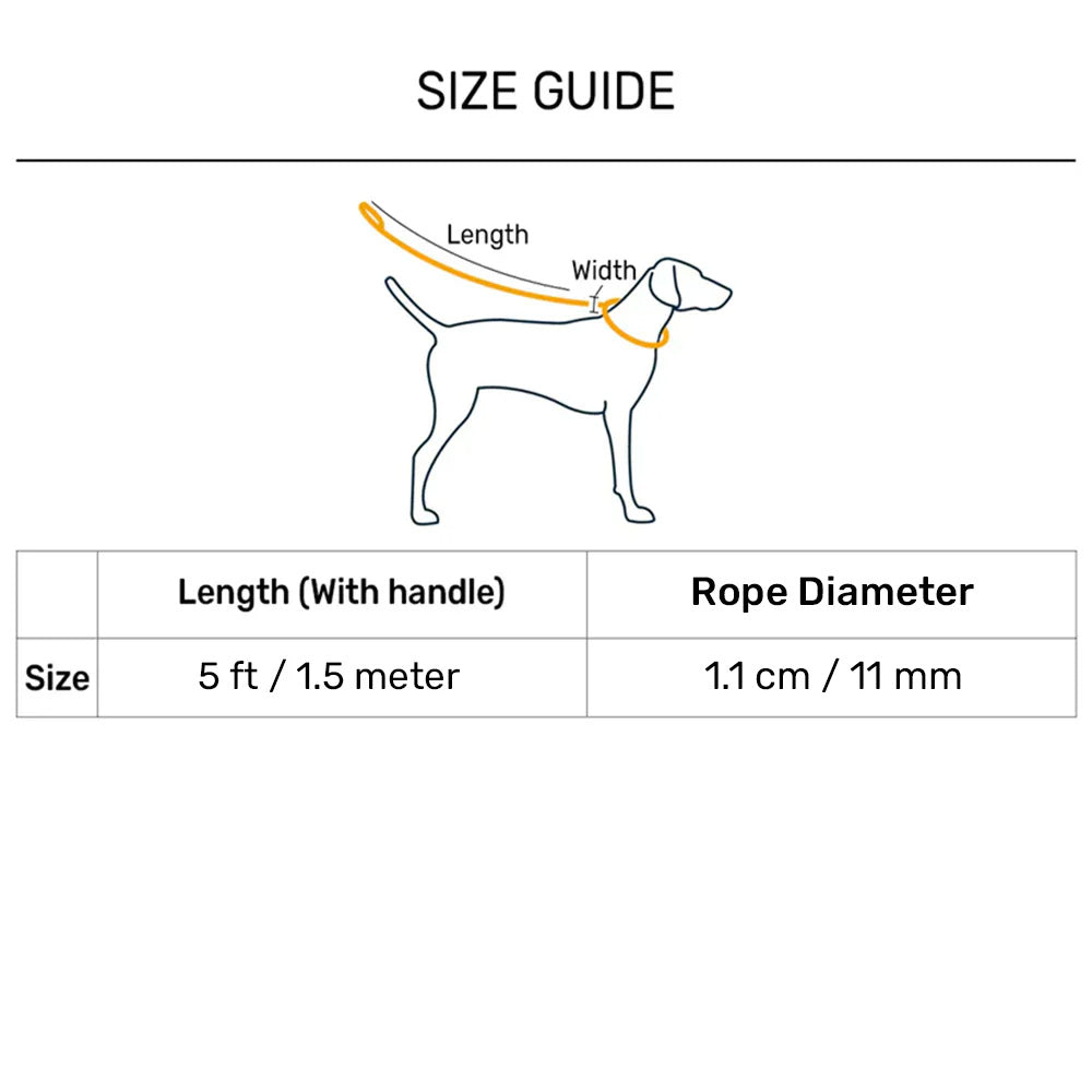 HUFT Xplorers Rope Leash With Carabiner For Dog - Blue - 5 ft_12