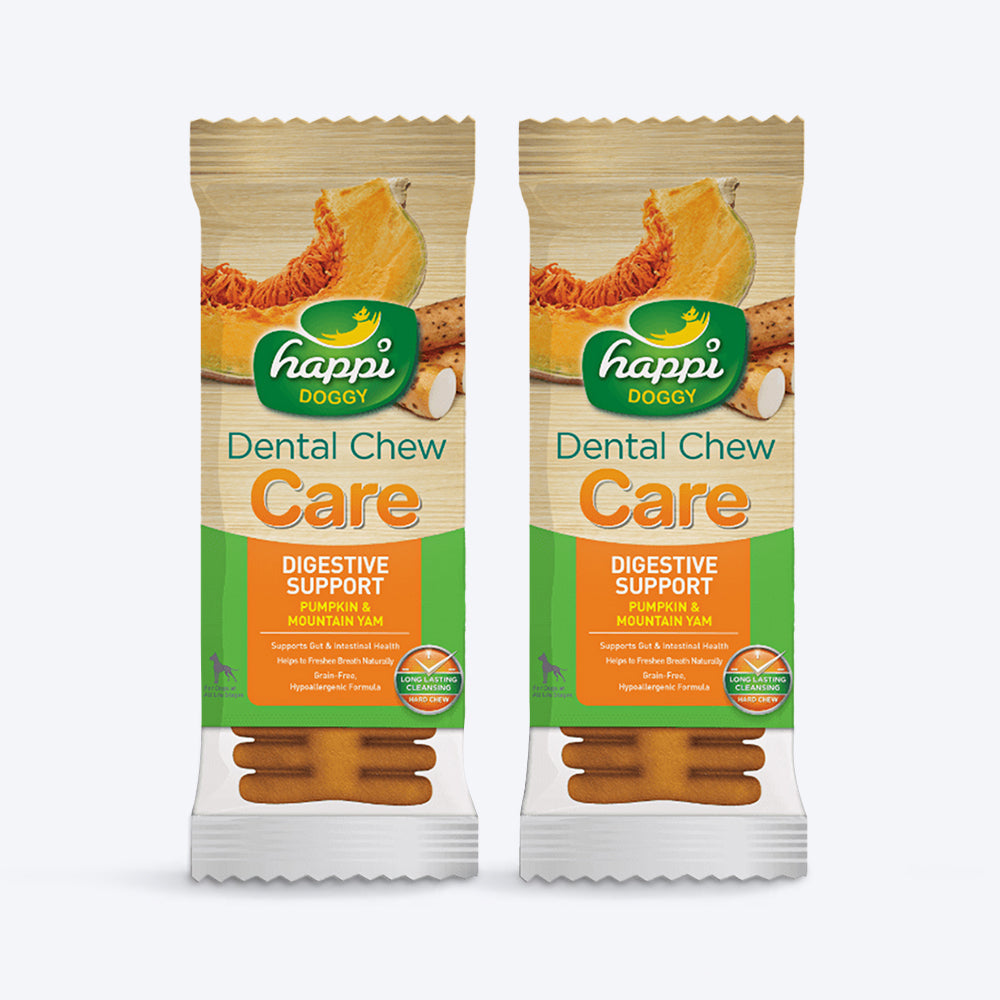 Happi Doggy Vegetarian Dental Chew (Digestive Support) - Pumpkin & Mountain Yam (Singles) - 25 g - Heads Up For Tails