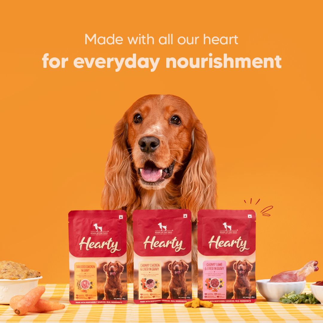 Hearty Chunky Chicken & Liver in Gravy dog wet food by Heads Up for Tails, 70 g, suitable for dogs over 3 months.