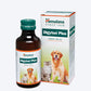 Himalaya Digyton Plus - Heads Up For Tails