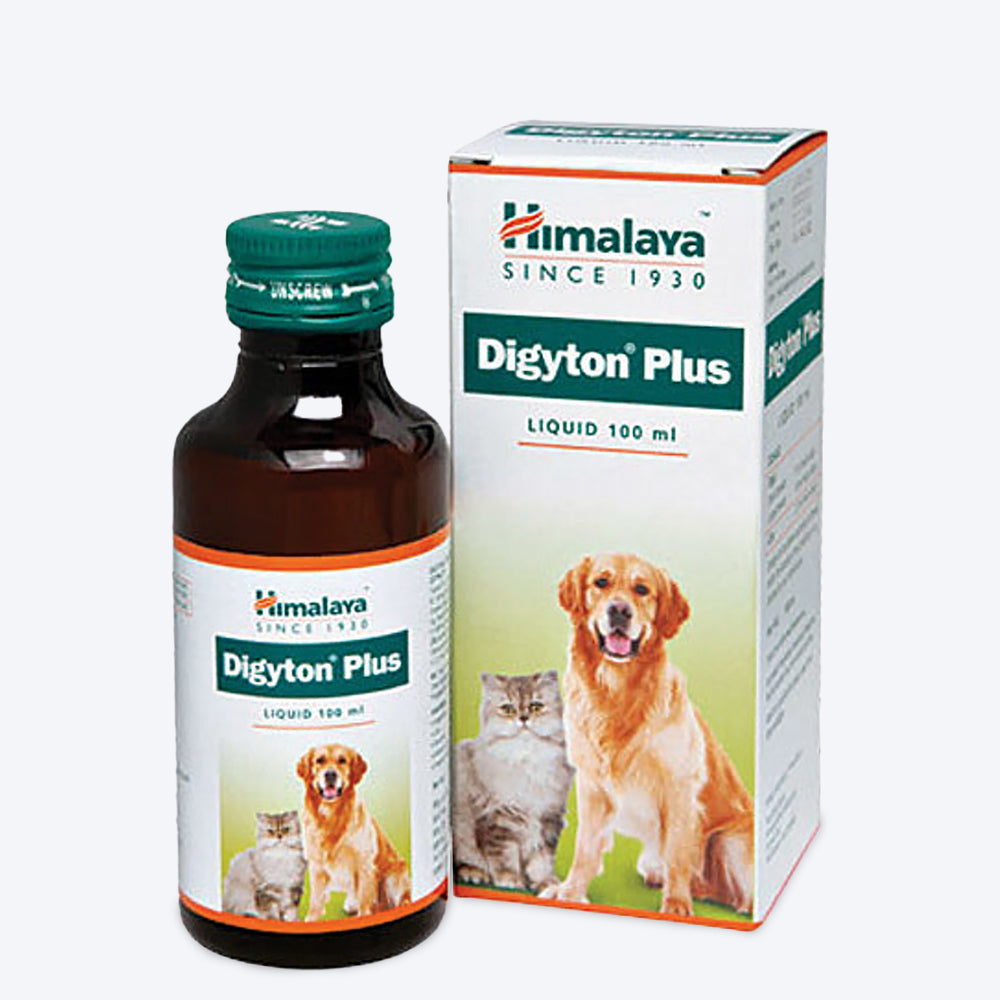 Himalaya Digyton Plus - Heads Up For Tails