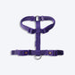 Trixie Premium Nylon H-Harness For Dogs - Violet - Heads Up For Tails