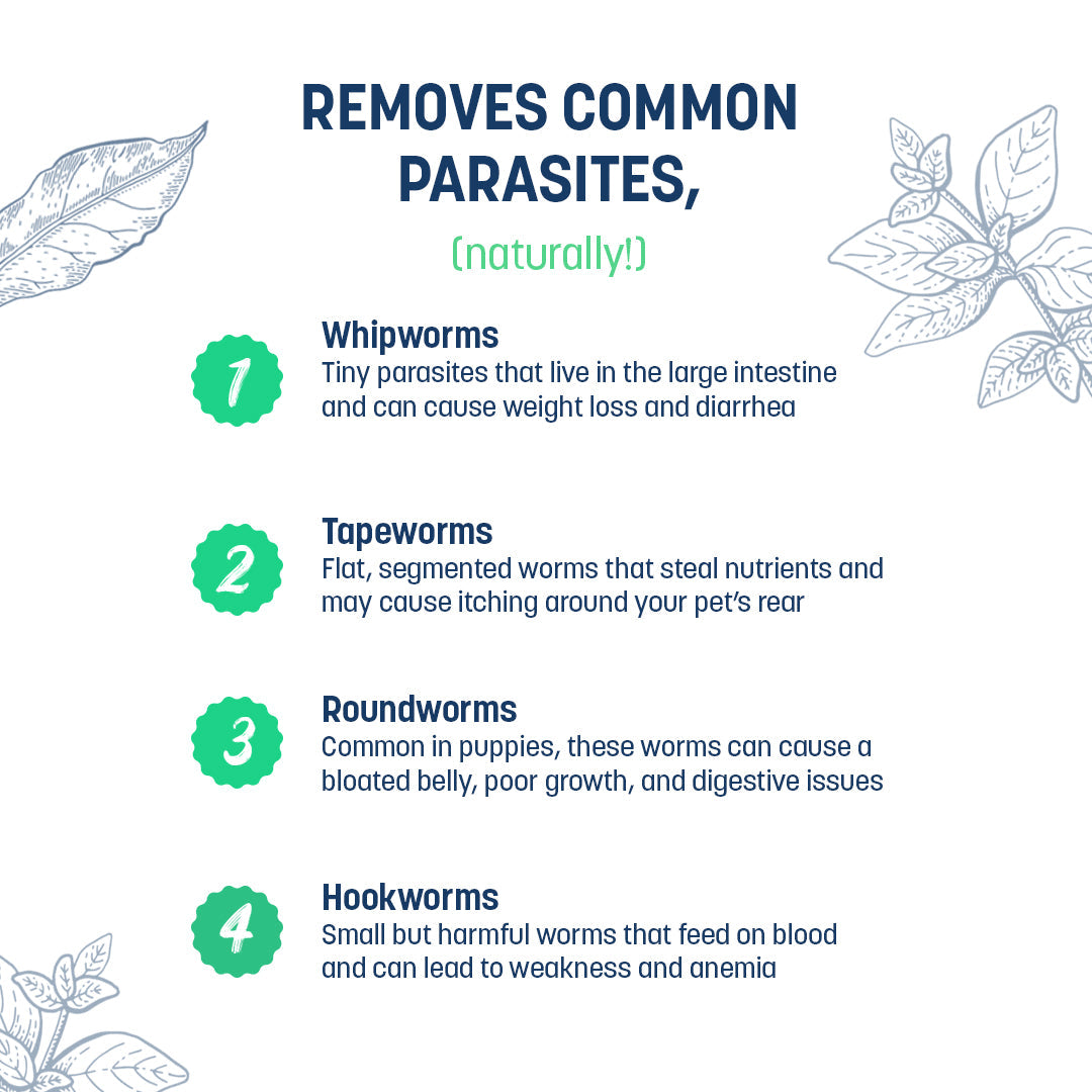 Sara's Natural Dewormer Supplement for Dogs, 200 gm, helps remove intestinal parasites naturally.