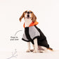 HUFT Colour Block Hoodie Sweatshirt For Pets- Black - Heads Up For Tails