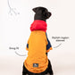 HUFT Colour Block Hoodie Pet Sweatshirt - Mustard - Heads Up For Tails