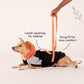HUFT Colour Block Hoodie Sweatshirt For Pets- Black - Heads Up For Tails