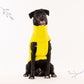 HUFT Cosy Pupper Reversible Dog Jacket - Lime Green - Heads Up For Tails