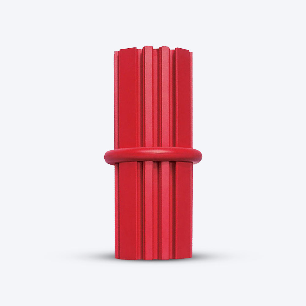 KONG Dental Chew Stick Dog Chew Toy - Heads Up For Tails