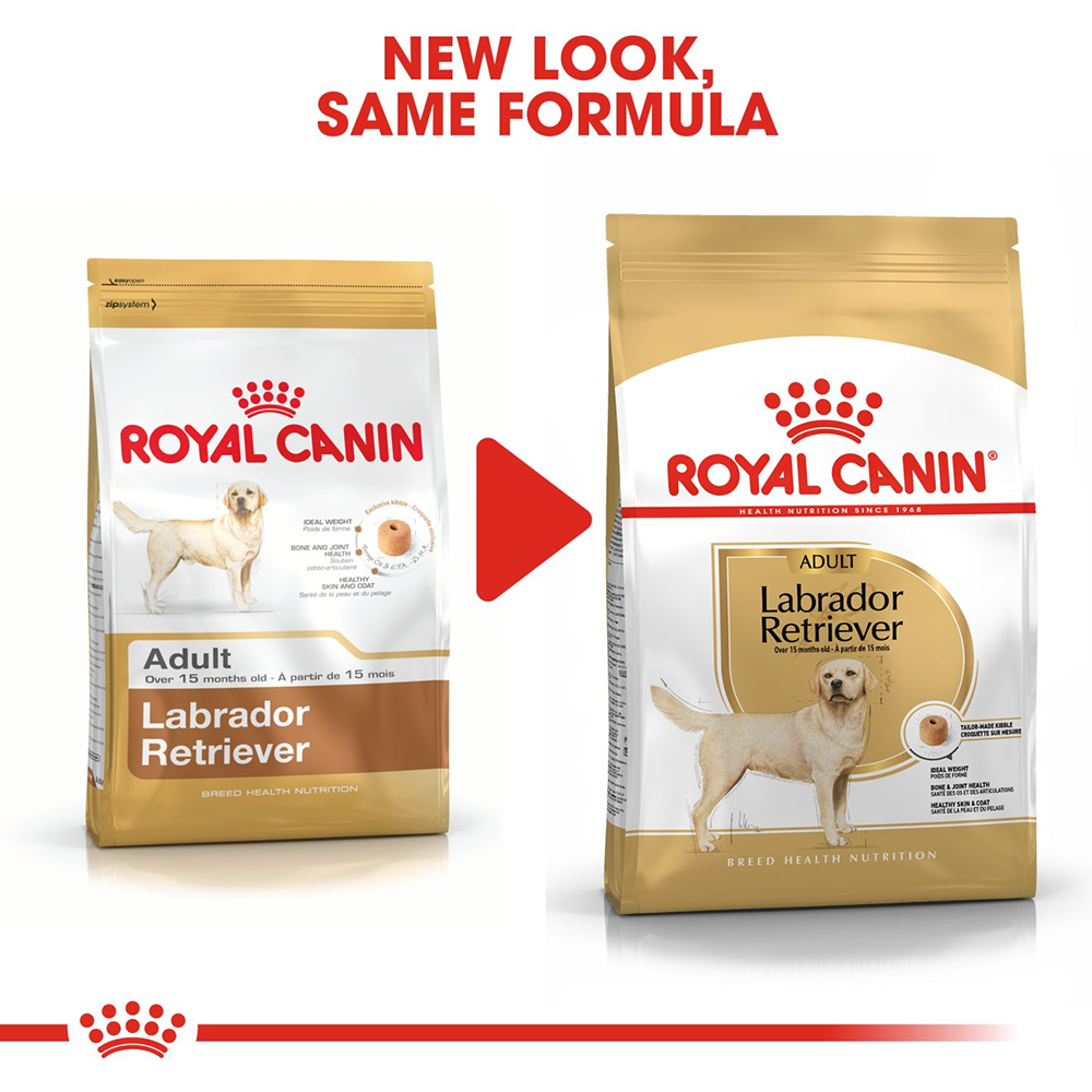 Royal Canin Labrador Retriever Adult Dry Dog Food - Heads Up For Tails