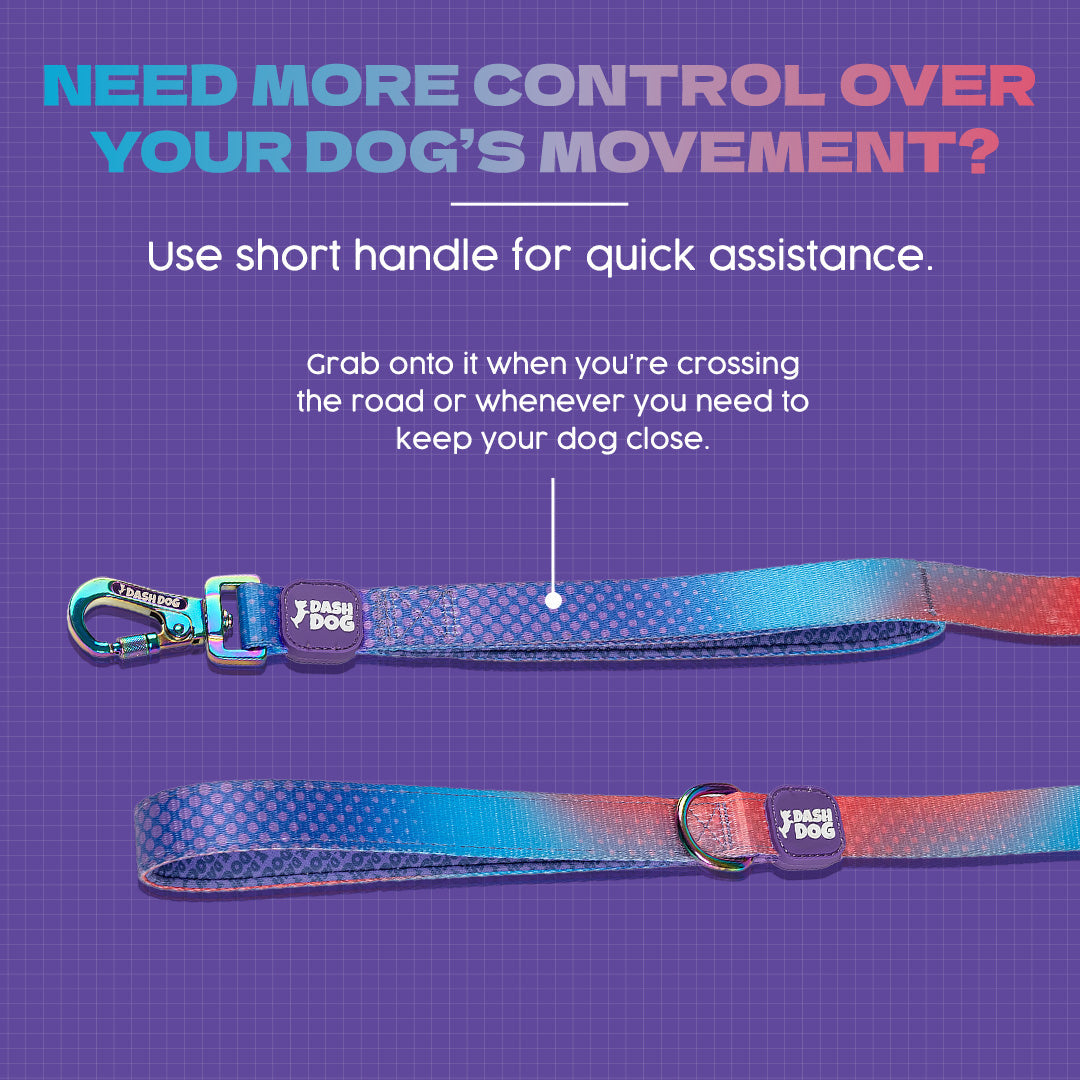 Dash Dog Flow Printed Leash - Violet & Red - Heads Up For Tails