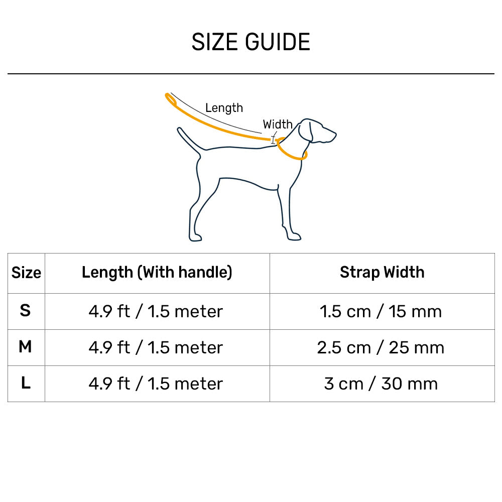 Dash Dog Vector Dual Handle Leash For Dog - Aqua Blue - Heads Up For Tails