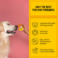 Furlicks Multivitamin Strawberry Pet Oral Food Supplement - 45g (30 Strips) - Heads Up For Tails