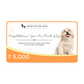 HUFT New Dog Gift Card - Heads Up For Tails