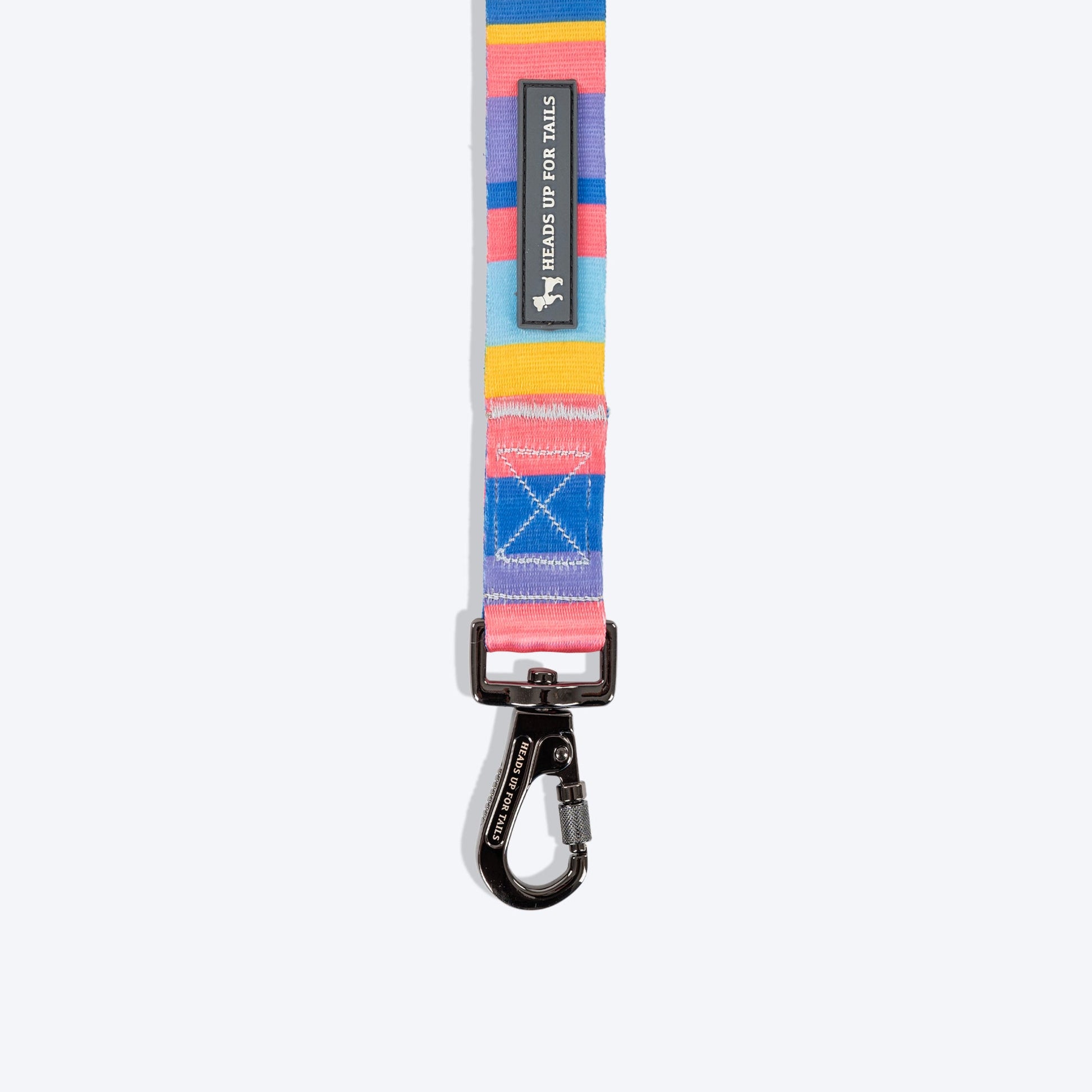 HUFT Spectrum Stripes Leash For Dog - Multicolor - Heads Up For Tails