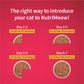 NutriMeow Adult Cat Trial Pack -Â  Ocean Fish, Chicken, Salmon in Gravy & Tuna in Jelly - (4 x 80 gm) - Heads Up For Tails