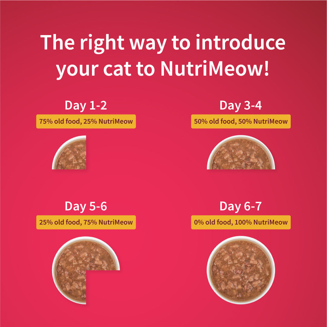 NutriMeow Adult Cat Trial Pack -Â  Ocean Fish, Chicken, Salmon in Gravy & Tuna in Jelly - (4 x 80 gm) - Heads Up For Tails