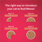NutriMeow Salmon In Gravy Wet Food For Adult Cat - 80 gm - Heads Up For Tails