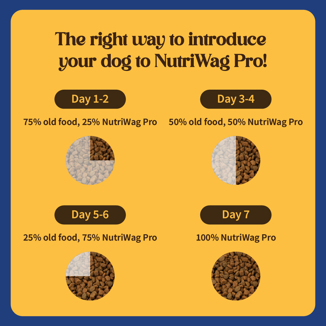 NutriWag Pro Active Chicken & Vegetable Dry Food For Dog - 20 kg - Heads Up For Tails