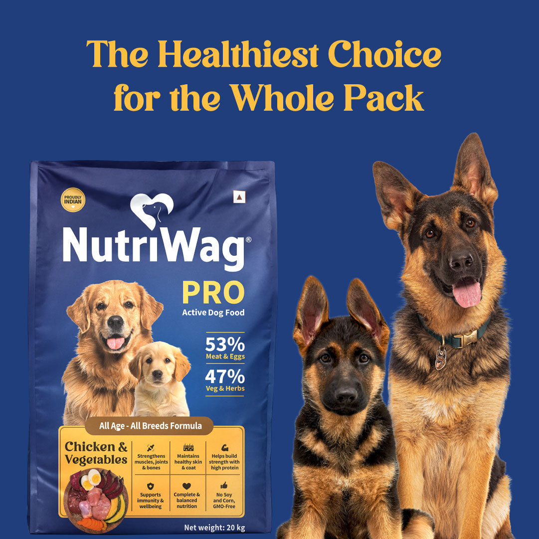 NutriWag Pro Active Chicken & Vegetable Dry Food For Dog - 20 kg - Heads Up For Tails