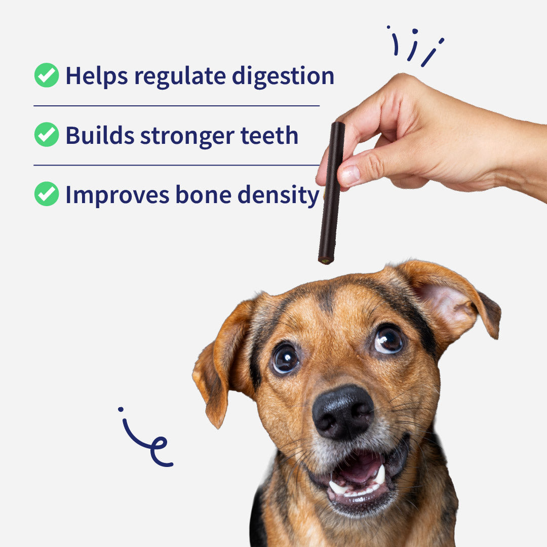 NutriWag Chicken & Cheese Duo Sticks Treats For Dog - 70 gm - Heads Up For Tails