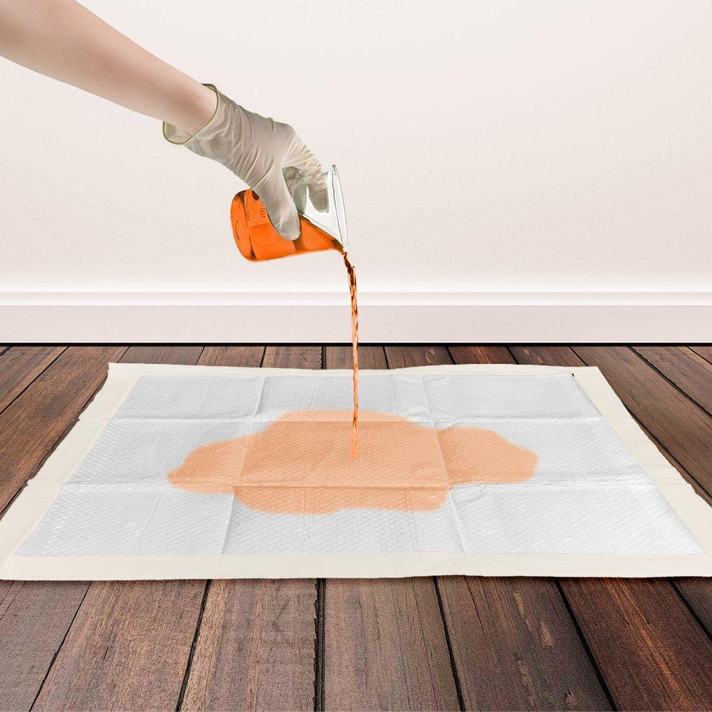 Bramton OUT! Go Here Dog Pads - Moisture Lock Training Pads - Heads Up For Tails