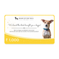 HUFT New Dog Adoption Gift Card3