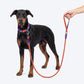Dash Dog Chaser Rope Leash For Dog - Red