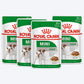 Royal Canin Mini Breed Adult Wet Dog Food - 85 g packs - Heads Up For Tails
