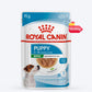 Royal Canin Puppy Mini Wet Puppy Food (1-10kg) - 85 g packs - Heads Up For Tails