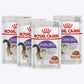 Royal Canin Sterilised/Neutered Wet Cat Food - 85 g packs - Heads Up For Tails