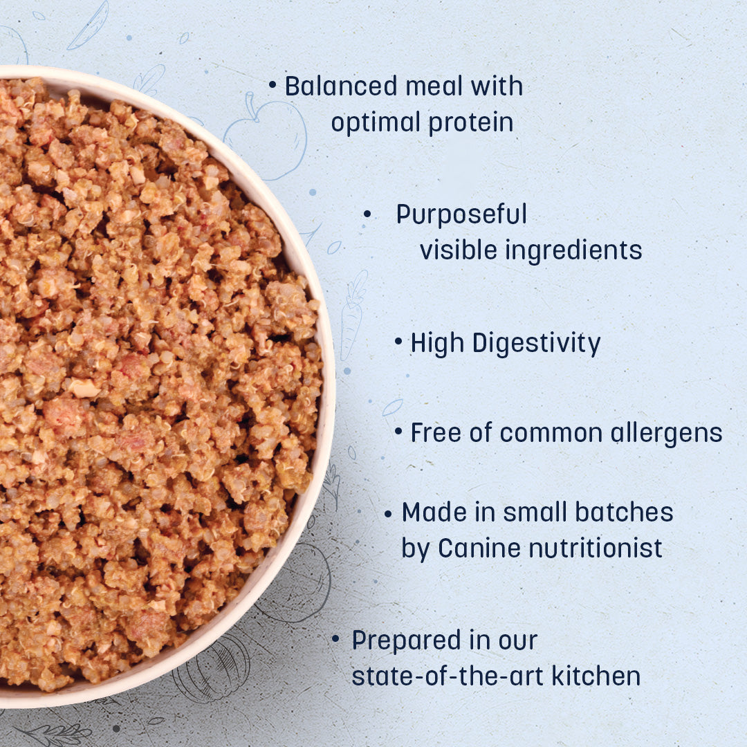 Sara's Wholesome Hypoallergenic Diet Duck & Quinoa Dog Wet Food, 300 g, made with farm-fresh ingredients.