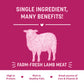 Sara's Doggie Treats Dehydrated Lamb Jerky, 70 g, high protein, low fat, all-natural, grain-free dog treats.